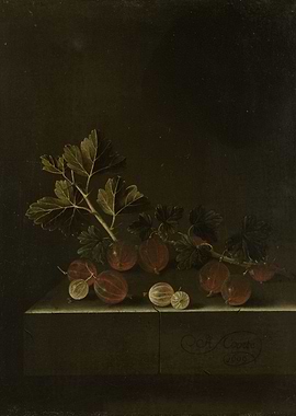 Adriaen Coorte -A Sprig of Gooseberries on a Stone Plin ...