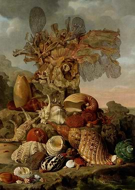 Henricus Franciscus Wiertz - Shells and Marine Plants, ...