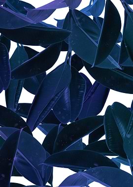 botanical purple rain