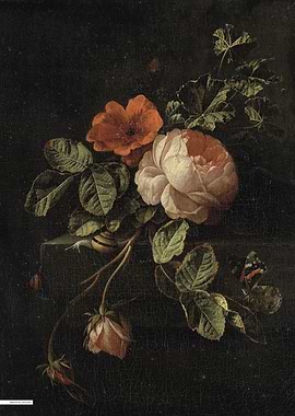 Vintage illustration of flowers