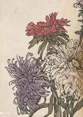 Vintage illustration of flowers