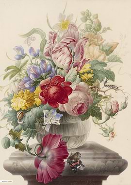 Vintage illustration of flowers