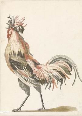 Vintage illustration