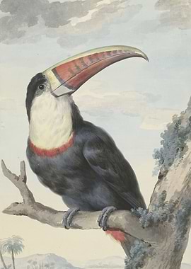 Vintage illustration