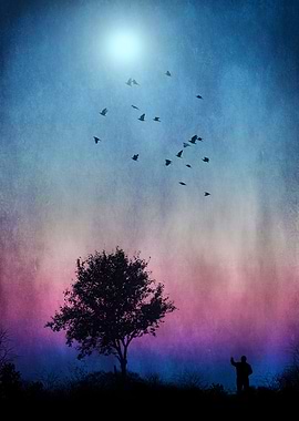 Night sky with birds