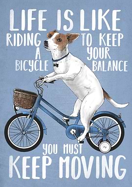 Life is like riding a bicy
