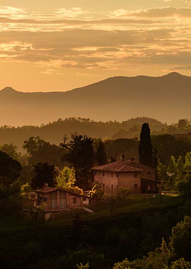 Tuscany sunset, portrait