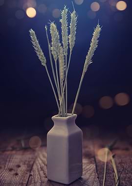 Grain with emotional light