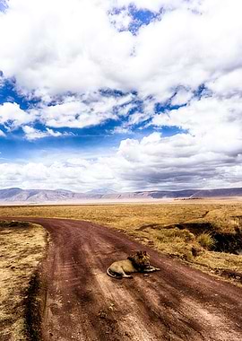 The King of the Road