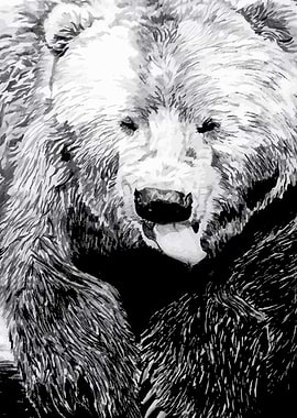 Drawing of a grizzly bear