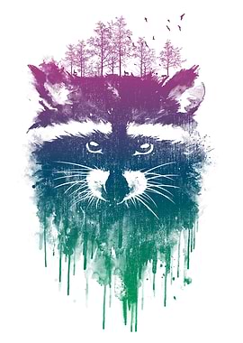 Raccoon