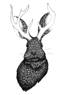 Jackalope