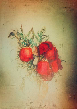 Vintage artistic roses photograph