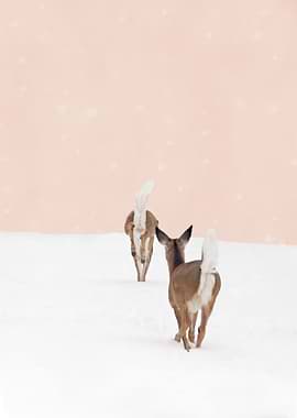 These hungry doe wandered into my yard last winter. Her ...