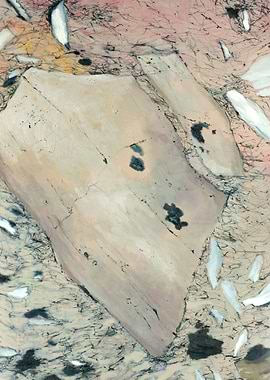 It is photography of oil picture. My inspiration are mi ...