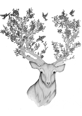 The Natural Progression