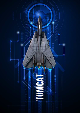 US Navy F14 Tomcat digital aviation art