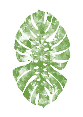 Monstera watercolor