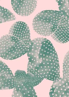 Cacti pink