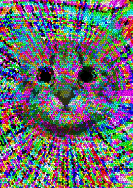 Hypno Lsd Cat