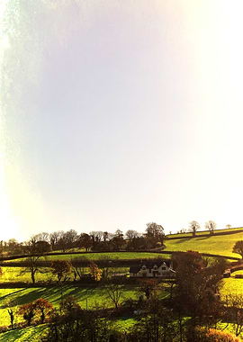 Devon - Vintage edited. From a series previously offere ...