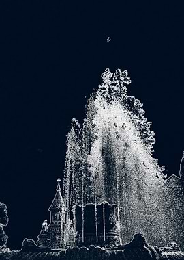 bird flying in the night above a fountain
