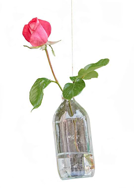 pink rose hanging in the bottle