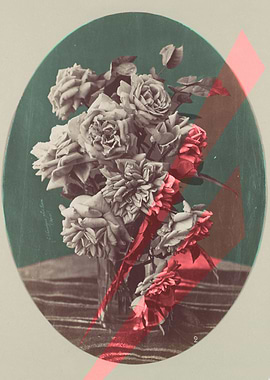 vintage roses with hip colours
