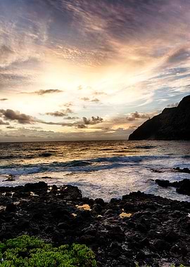 The Sunrise at the Beach