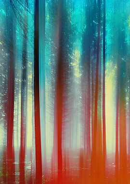 Abstract Forest