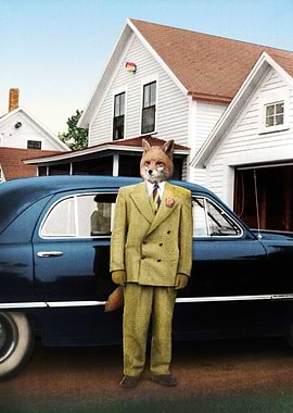 Mr. Fox