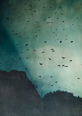 eXodus - a sky full of birds