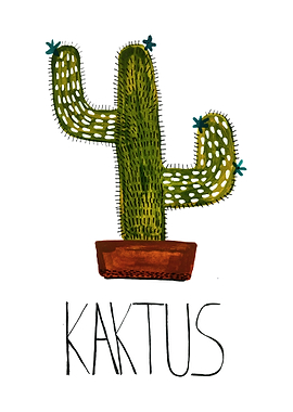 Plain Cactus
