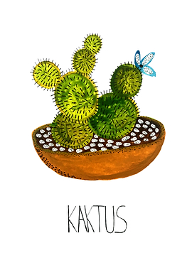 Plain Cactus