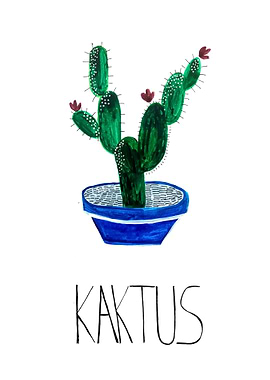 Plain Cactus