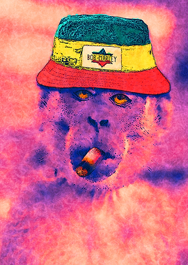 Rasta monkey with joint