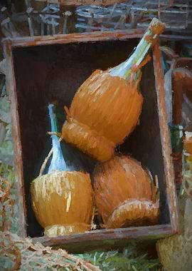 old empty wine bottles in the cellar