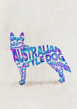 Australian Cattle Dog Typo