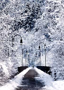 Snowy bridge