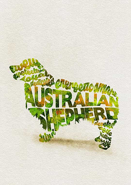 Australian Shepherd Dog