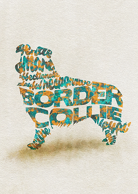 Border Collie Dog Typo