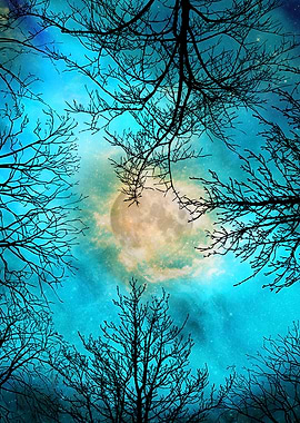 Evening, Bare Trees, The M