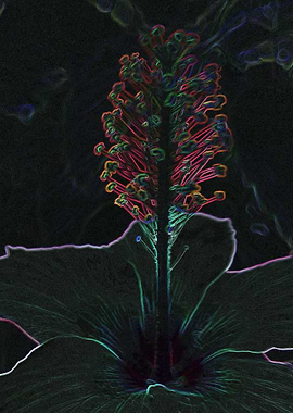 velvet colored flower