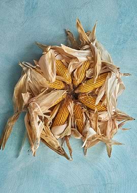 decoration with cobs in the farm