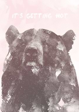 IT'S GETTING HOT says the Bear