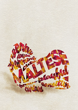 Maltese Dog Typography