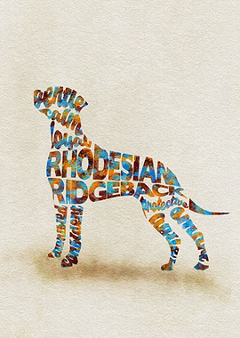 Rhodesian Ridgeback Dog