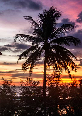 Thai Sunset