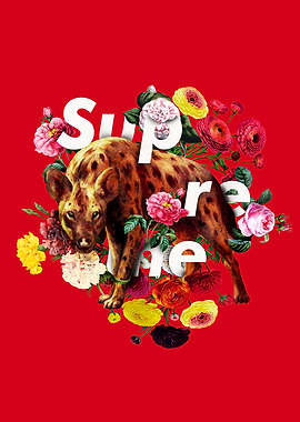 Supreme - Hyena
