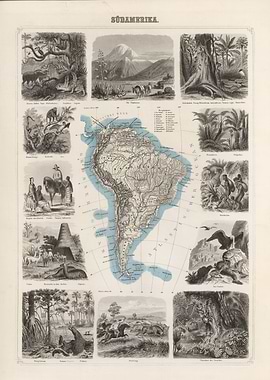 South America vintage map 1863